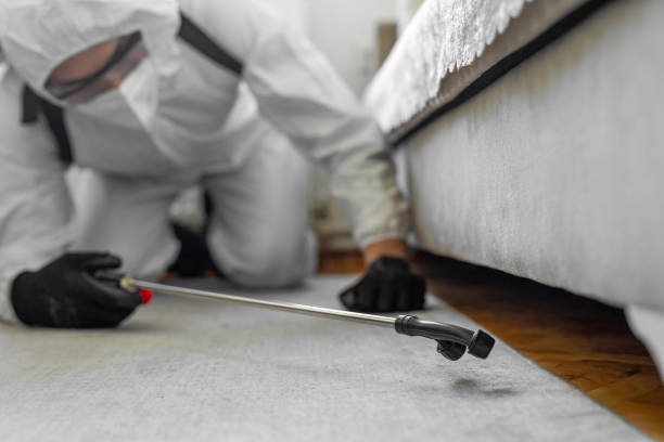 Professional Termite Control technician working in Dyer, TN