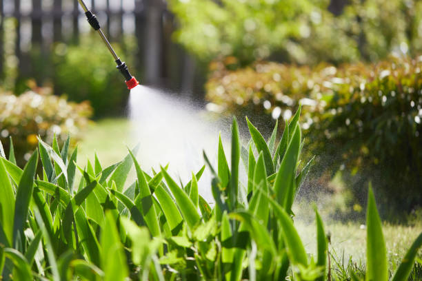 24/7 Emergency Termite Control experts in Dyer, TN