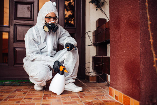 Reliable Termite Control contractor in Dyer, TN by Nex Pest Control